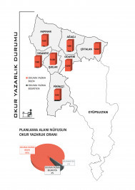 Okuryazarlık Durumu