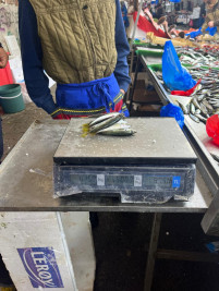 Eyüpsultan'da pazarlarda balık denetimi