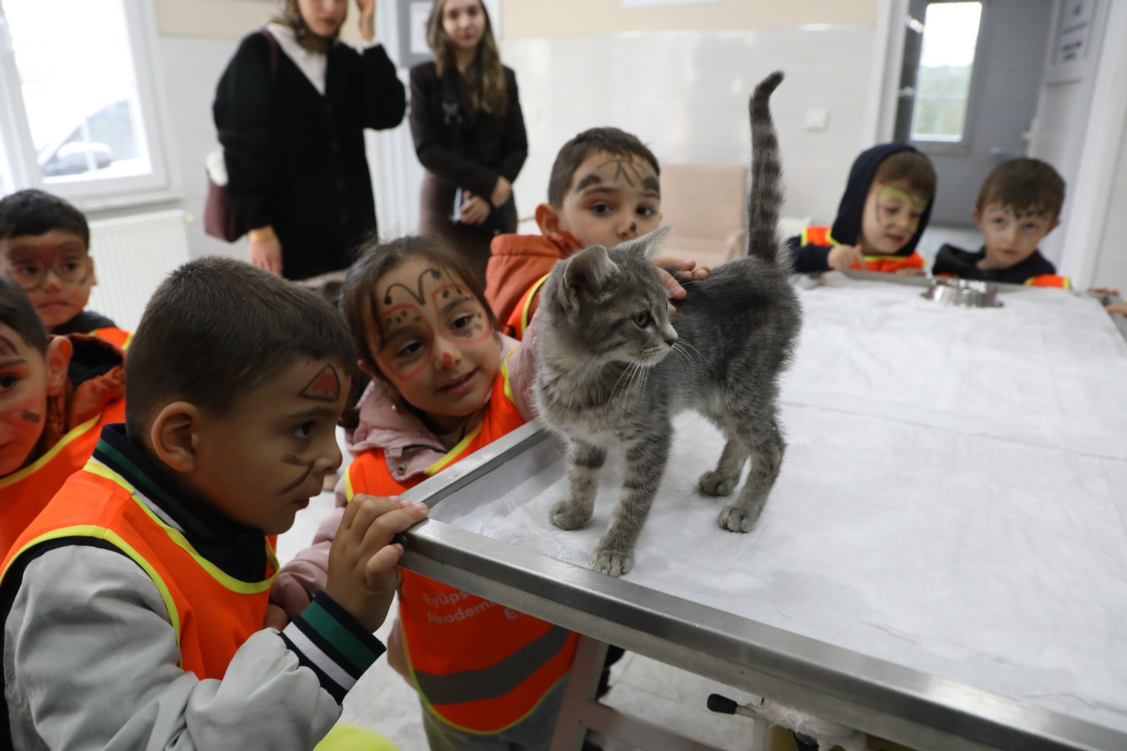 Patili dostlarımıza özel etkinlik Patili dostlarımıza özel etkinlik