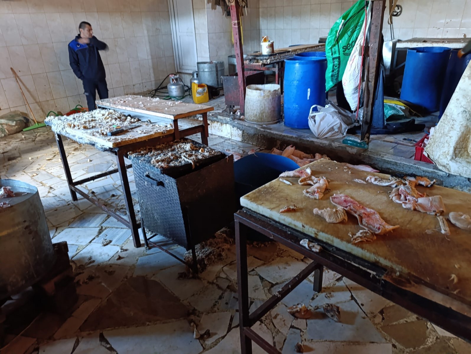 Eyüpsultan'da Ruhsatsız Hayvan Ayağı İşleme Tesisi Mühürlendi Eyüpsultan'da Ruhsatsız Hayvan Ayağı İşleme Tesisi Mühürlendi