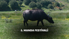 Manda Festivali ve Yerel Üretici Pazarı'nda komşularımızla buluştuk