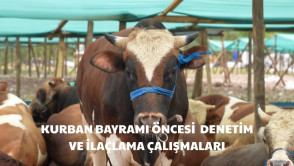  Kurban Bayramı Öncesi Denetim ve İlaçlama Çalışmaları
